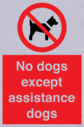 no-dogs-except-assistance-dogs~